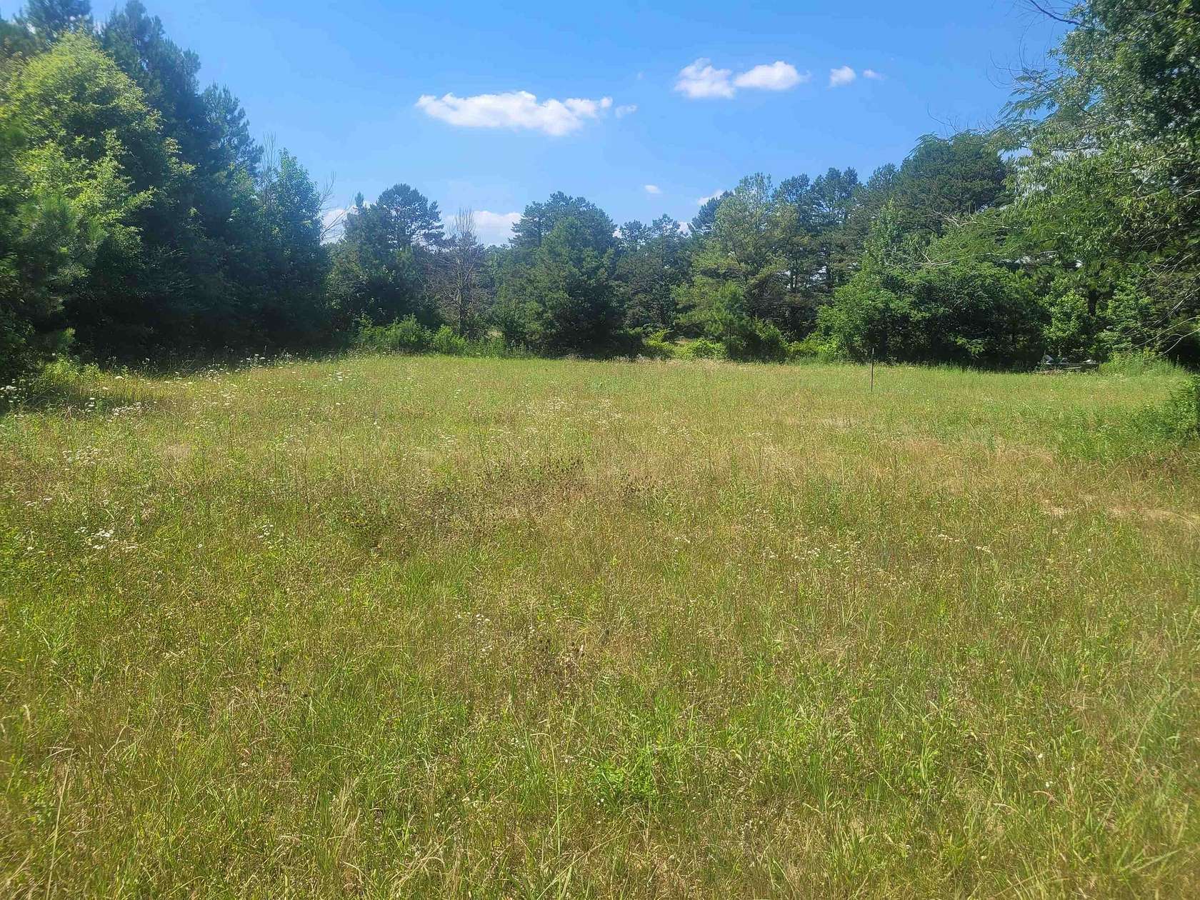 0.9 Acres of Residential Land for Sale in Savannah, Tennessee