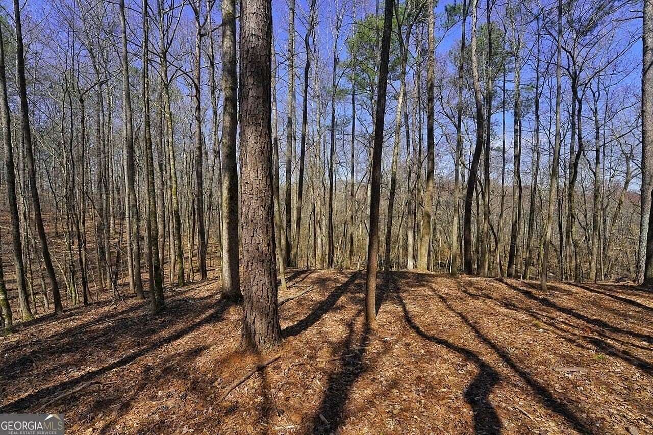 38 Acres of Recreational Land for Sale in Douglasville, Georgia