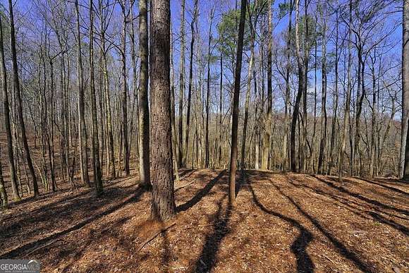 38 Acres of Recreational Land for Sale in Douglasville, Georgia