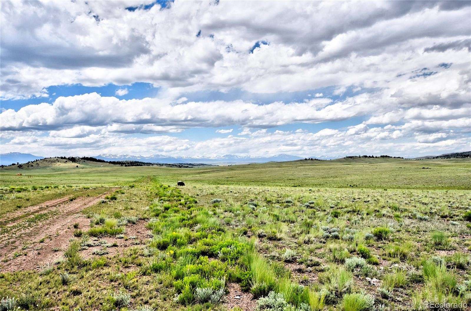 5.06 Acres of Residential Land for Sale in Hartsel, Colorado