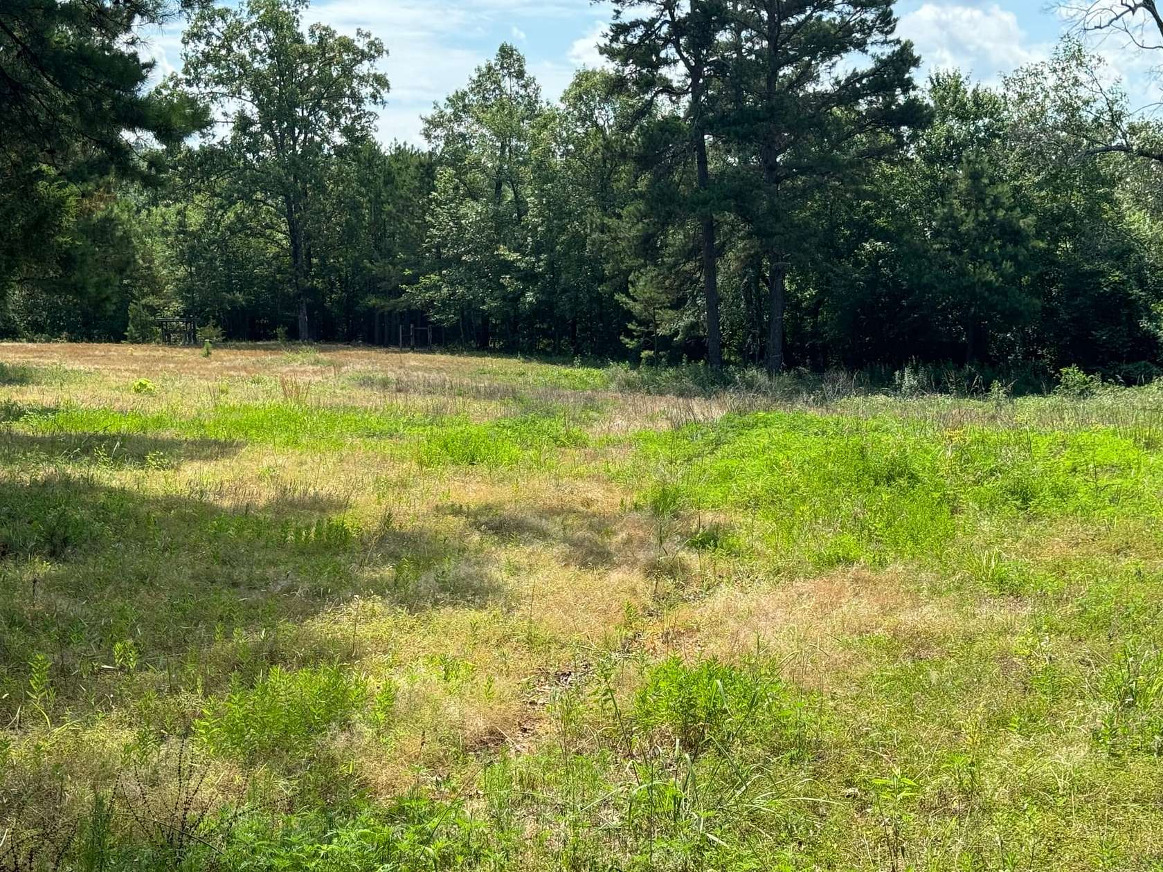 10 Acres of Recreational Land with Home for Sale in Waldron, Arkansas