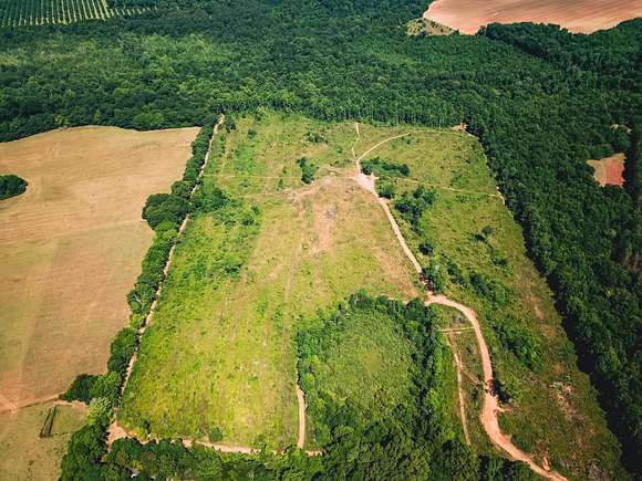 109.39 Acres of Recreational Land & Farm for Sale in Montezuma, Georgia