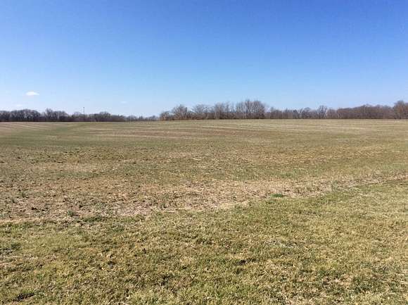 44.77 Acres of Agricultural Land for Sale in Woodlawn, Illinois