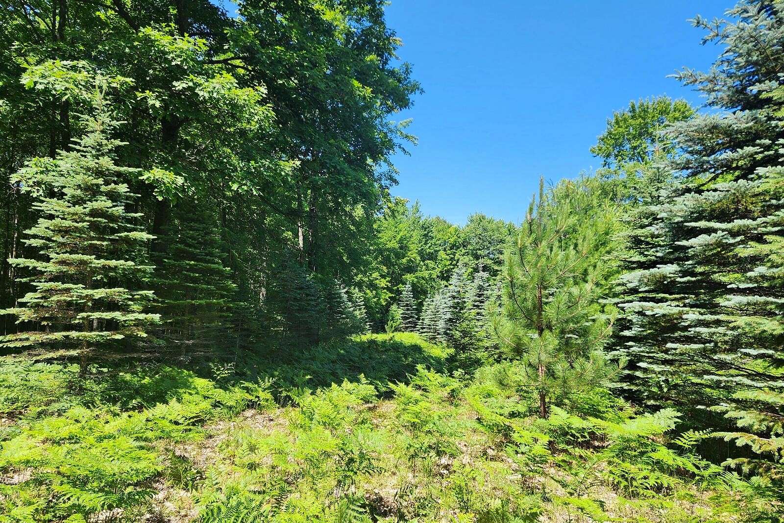 3.55 Acres of Residential Land for Sale in Canadian Lakes, Michigan