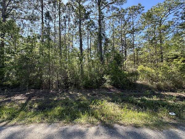 1 Acre of Residential Land for Sale in Santa Rosa Beach, Florida