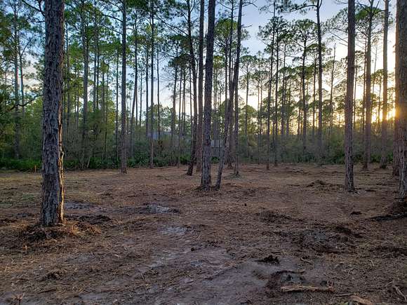 0.34 Acres of Residential Land for Sale in Freeport, Florida