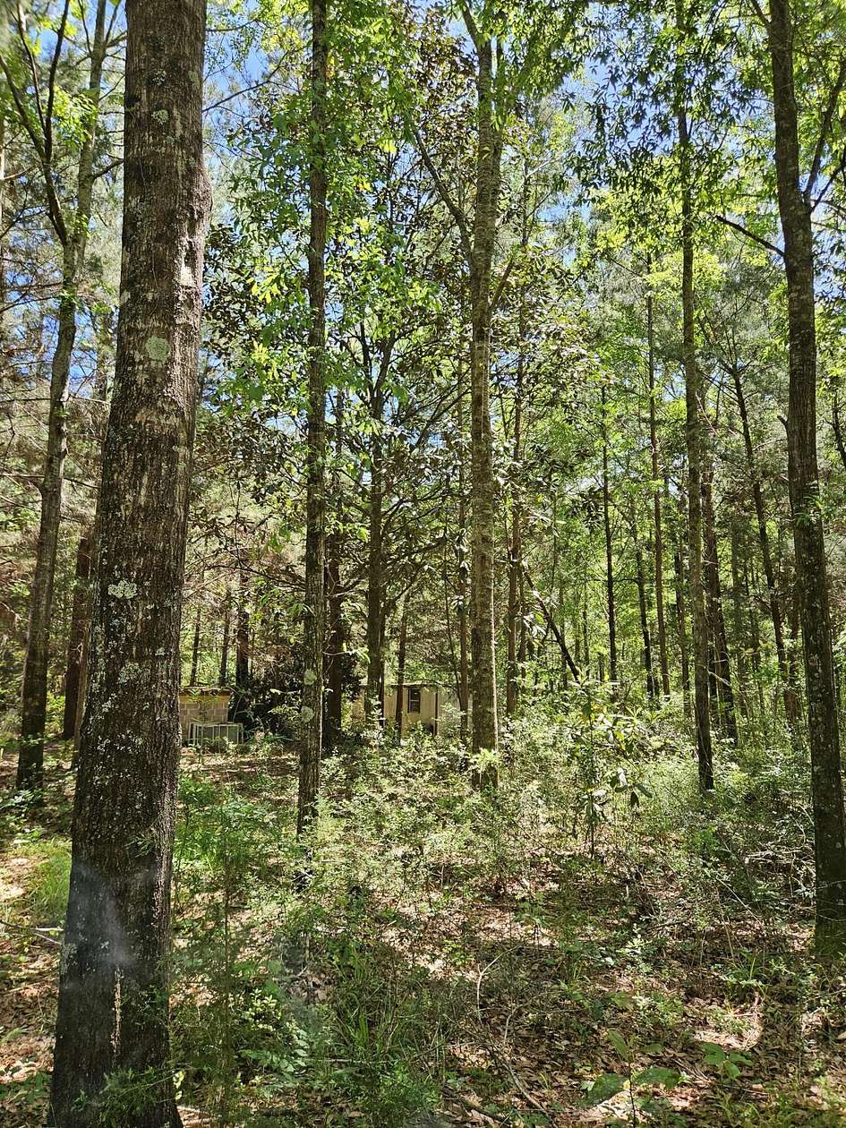 9 Acres of Land for Sale in Rome, Alabama