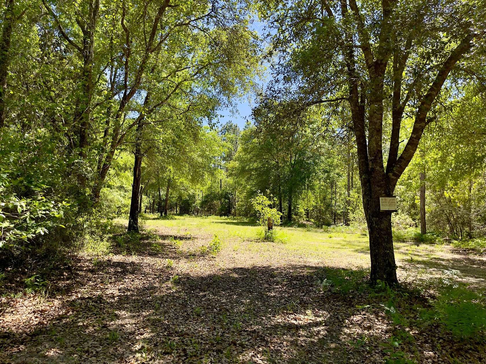 33 Acres of Recreational Land for Sale in Laurel Hill, Florida