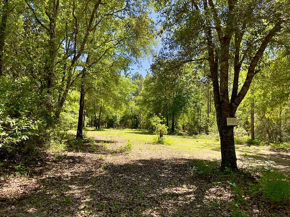 33 Acres of Recreational Land for Sale in Laurel Hill, Florida