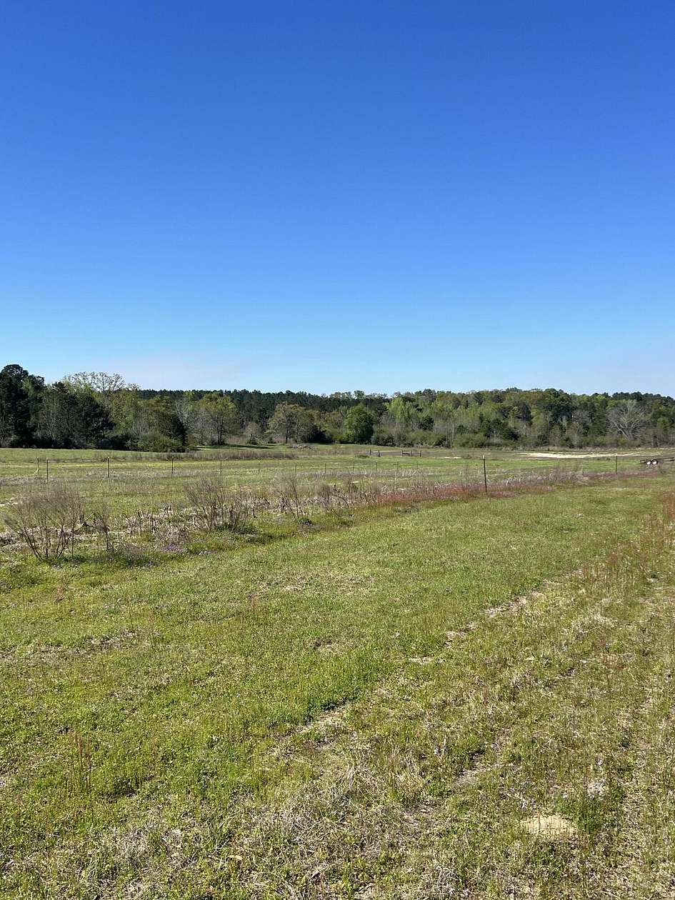 71.4 Acres of Agricultural Land for Sale in Ponce de Leon, Florida
