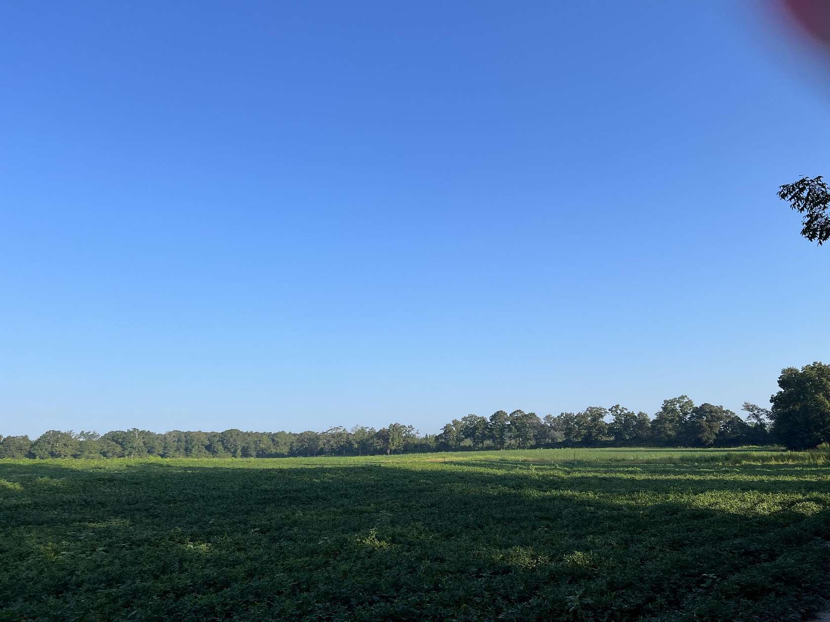 107 Acres of Agricultural Land for Sale in Laurel Hill, Florida