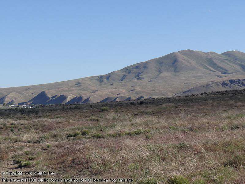2.06 Acres of Residential Land for Sale in Elko, Nevada