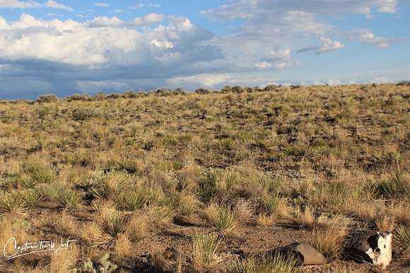 Looking south from road to property