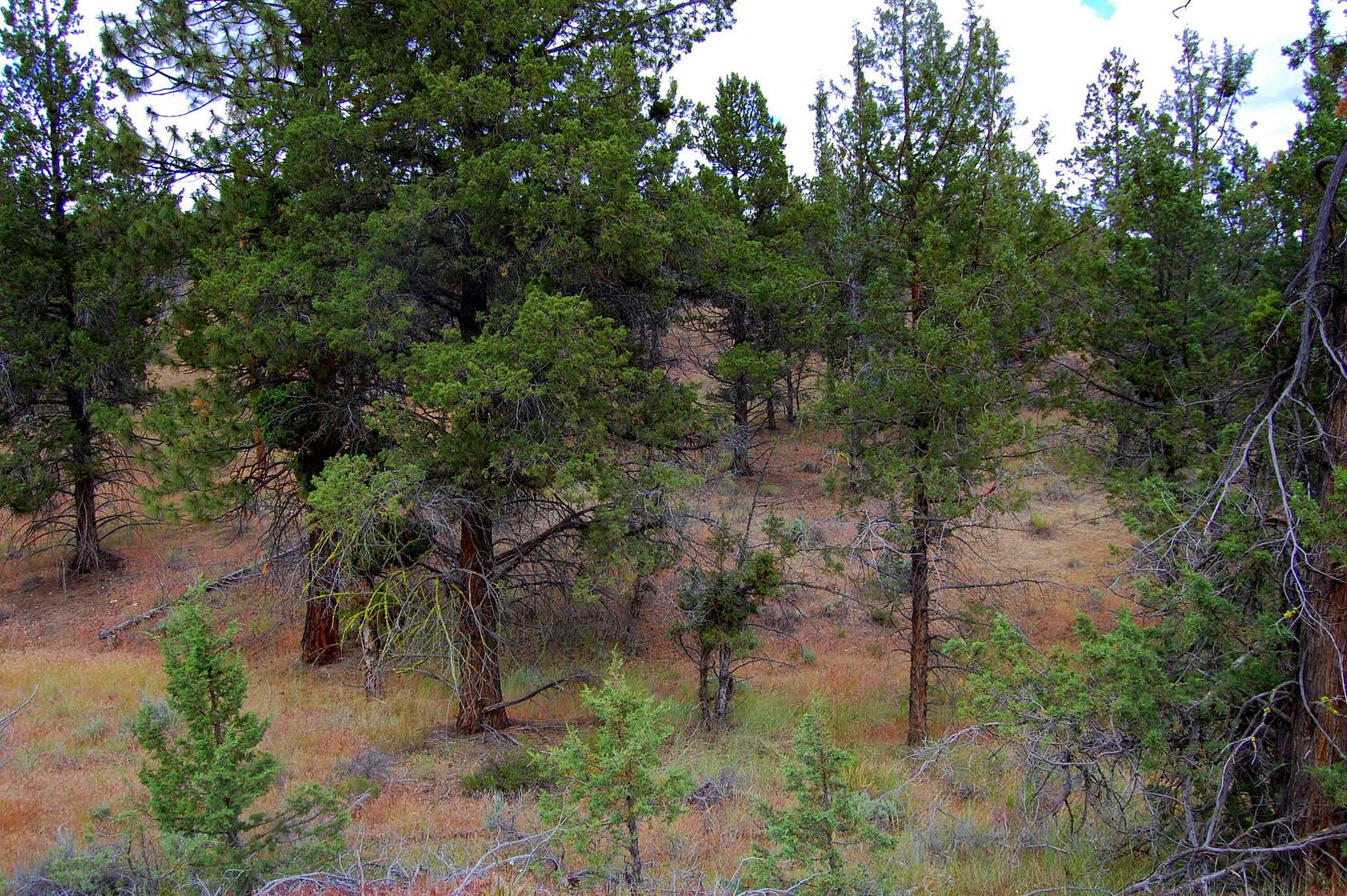 0.42 Acres of Residential Land for Sale in Prineville, Oregon