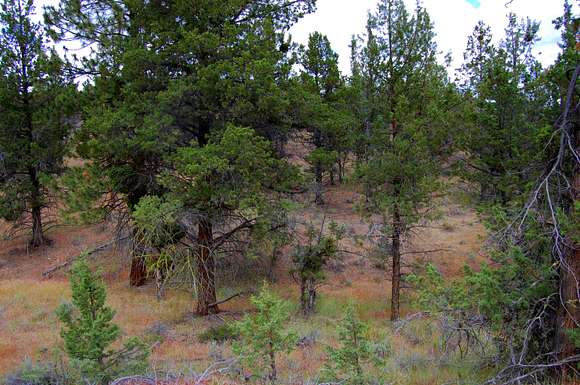 0.42 Acres of Residential Land for Sale in Prineville, Oregon