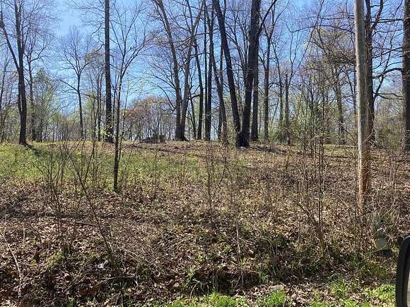 Land for Sale in Beaver Dam, Kentucky