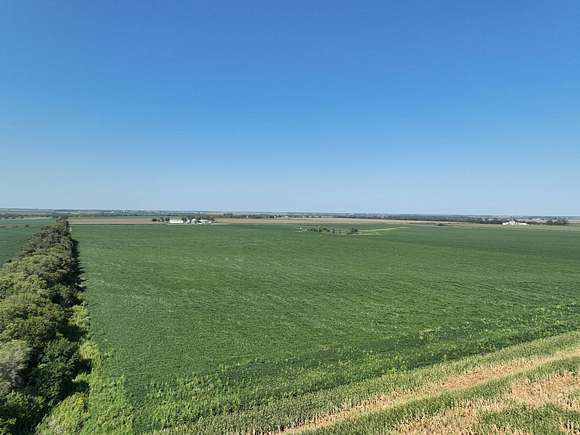 80.46 Acres of Agricultural Land for Sale in Benedict, Nebraska