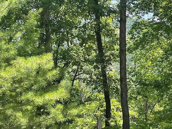 0.49 Acres of Residential Land for Sale in Franklin, North Carolina