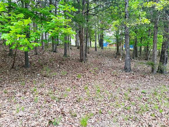 0.22 Acres of Residential Land for Sale in Diamond City, Arkansas