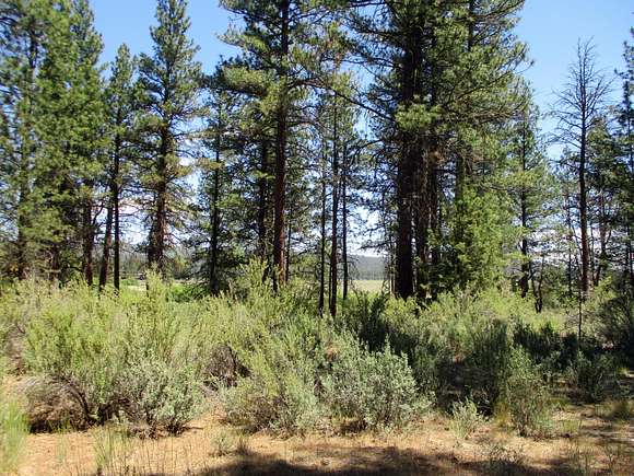 1.52 Acres of Residential Land for Sale in Chiloquin, Oregon