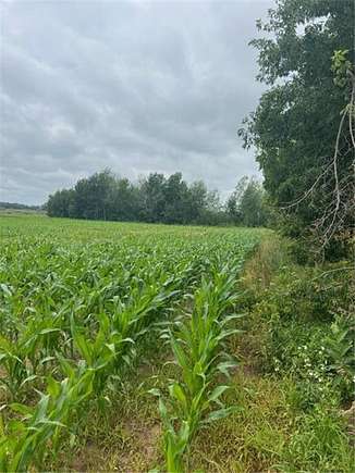 15 Acres of Agricultural Land for Sale in Oak Park, Minnesota