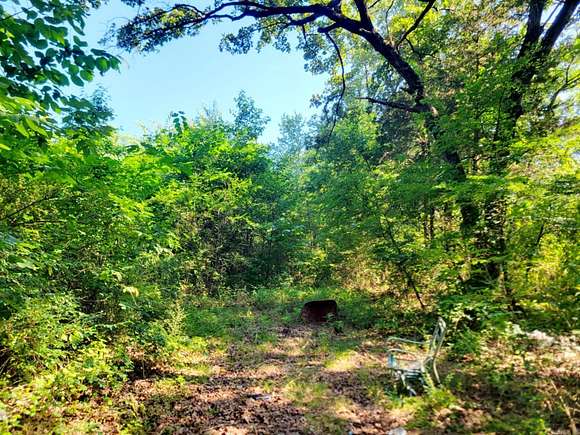 2.5 Acres of Residential Land for Sale in Ola, Arkansas