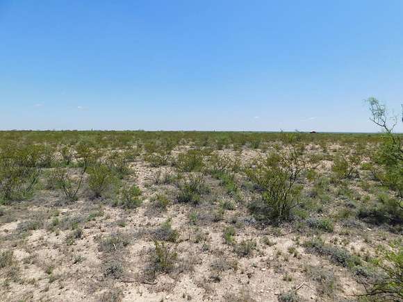389.25 Acres of Recreational Land for Sale in Dryden, Texas