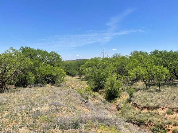 305.79 Acres of Recreational Land & Farm for Sale in Big Spring, Texas