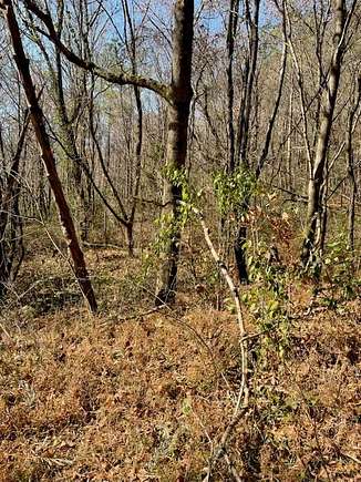 6.5 Acres of Residential Land for Sale in Pikeville, Kentucky
