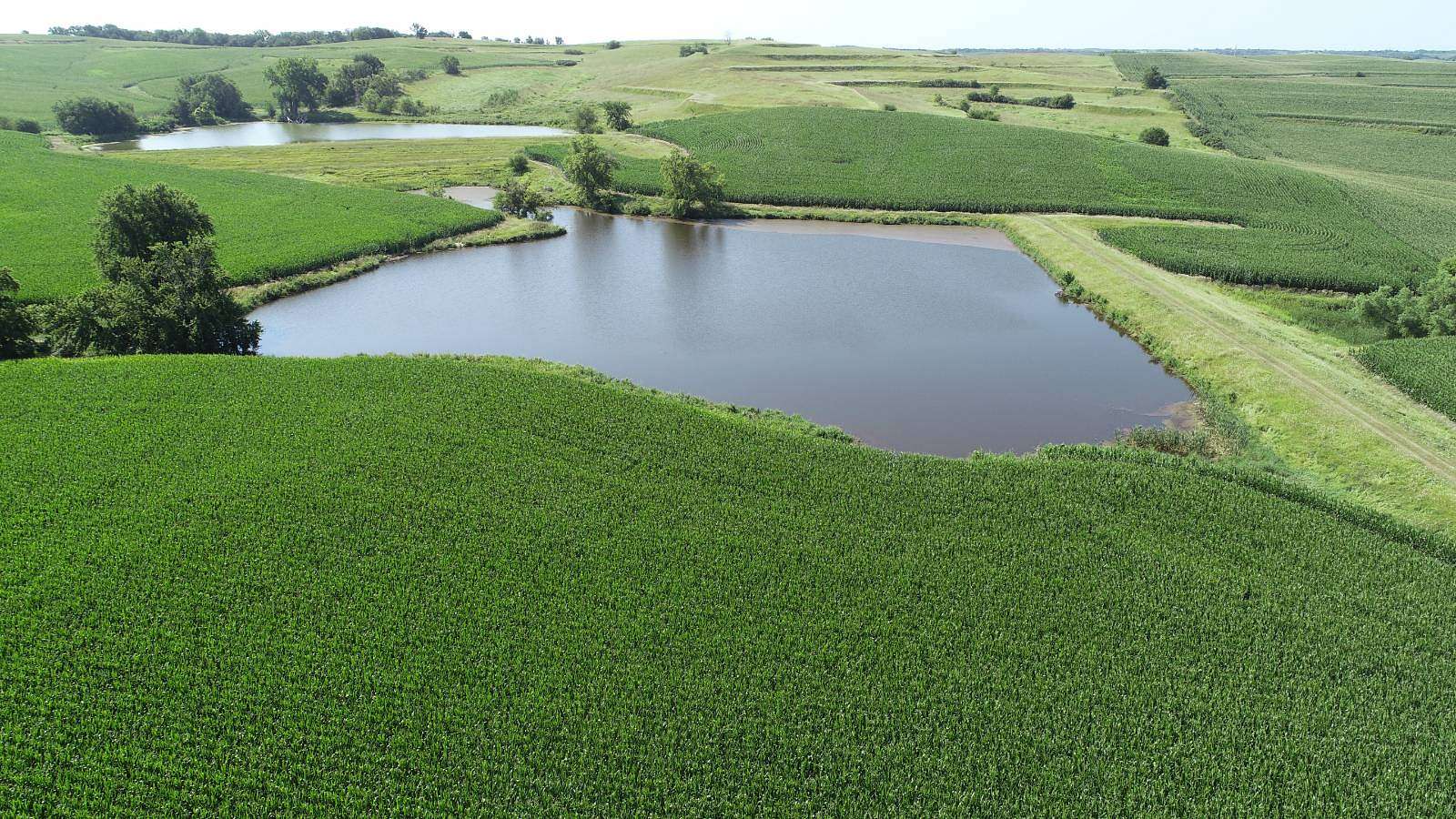 39 Acres of Agricultural Land for Sale in Mapleton, Iowa