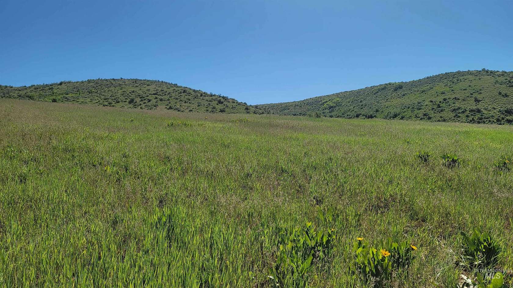 47.78 Acres of Land for Sale in Council, Idaho