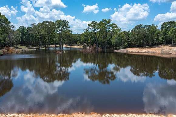 220.36 Acres of Recreational Land for Sale in Winnsboro, Texas