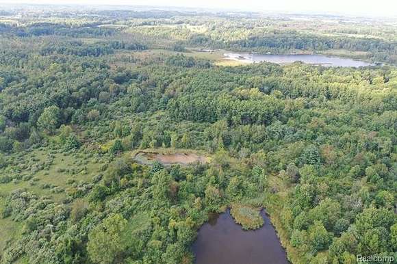 67.81 Acres of Recreational Land for Sale in Attica, Michigan