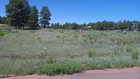 0.28 Acres of Residential Land for Sale in Overgaard, Arizona