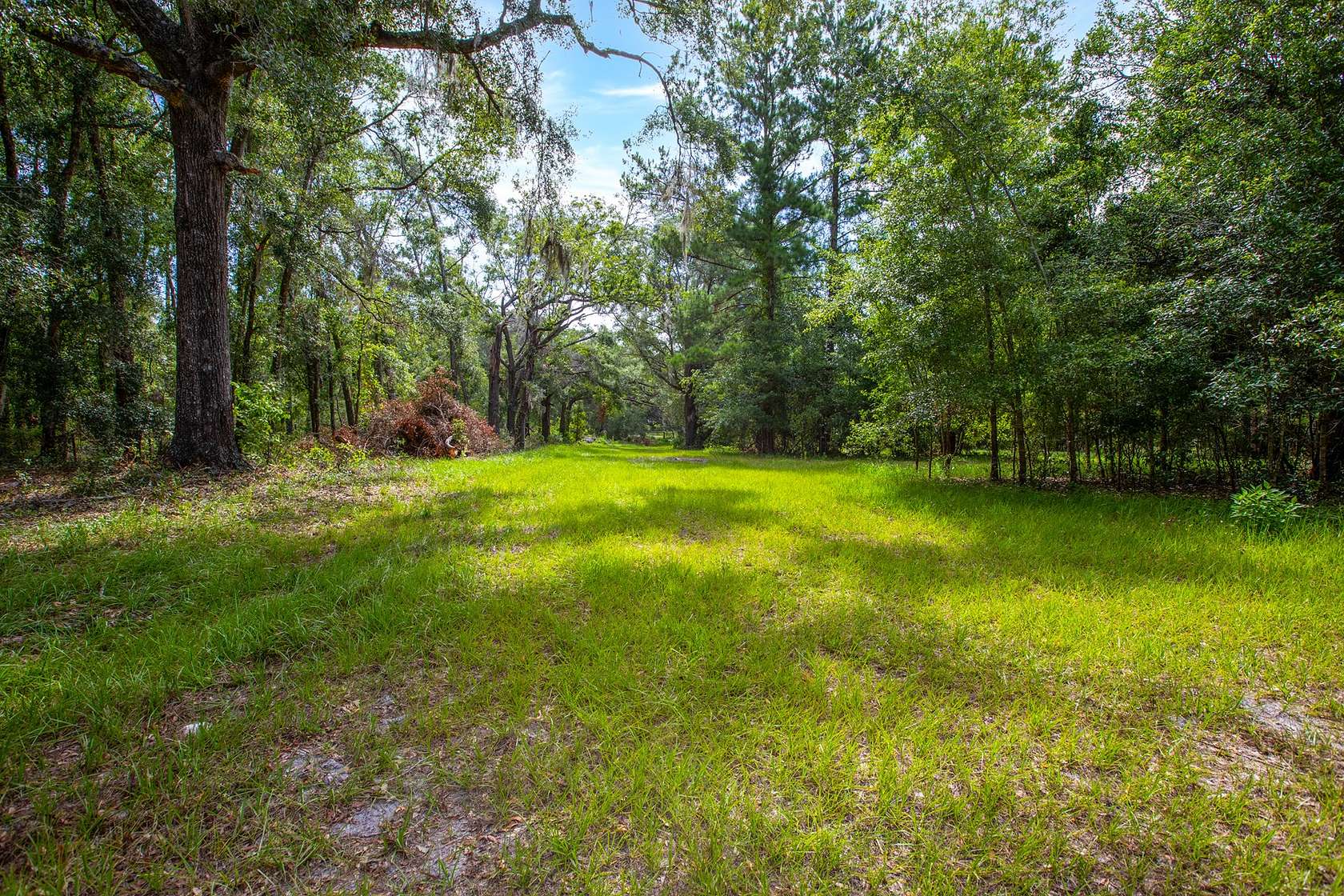 35.13 Acres of Agricultural Land for Sale in McAlpin, Florida