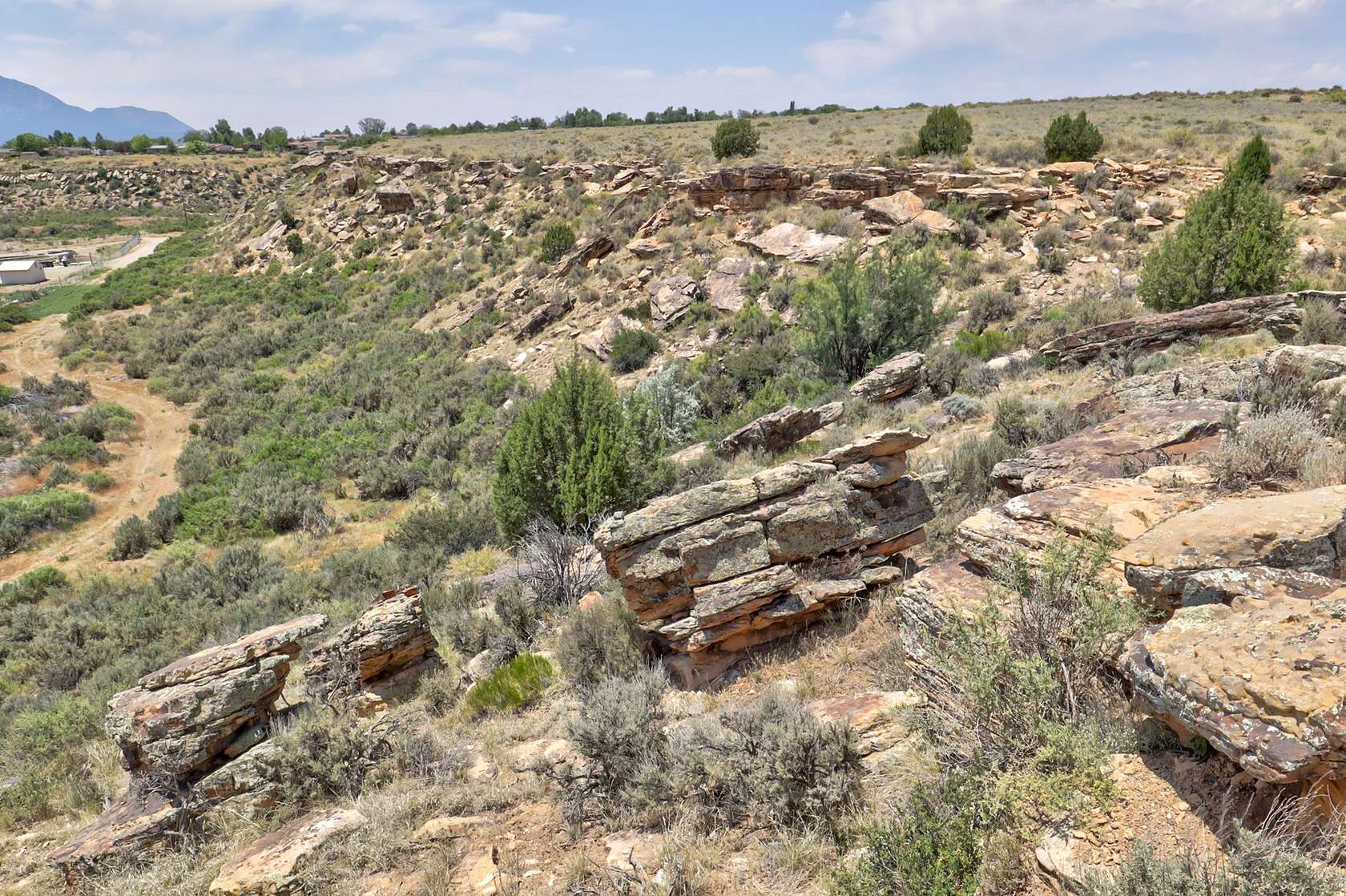 0.25 Acres of Residential Land for Sale in Cortez, Colorado