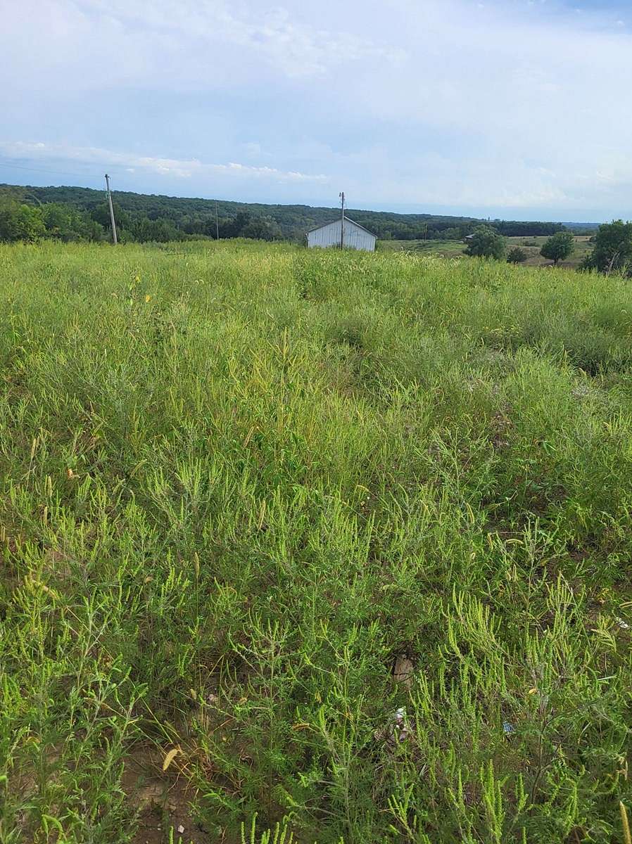 5 Acres of Agricultural Land for Sale in Unionville, Missouri
