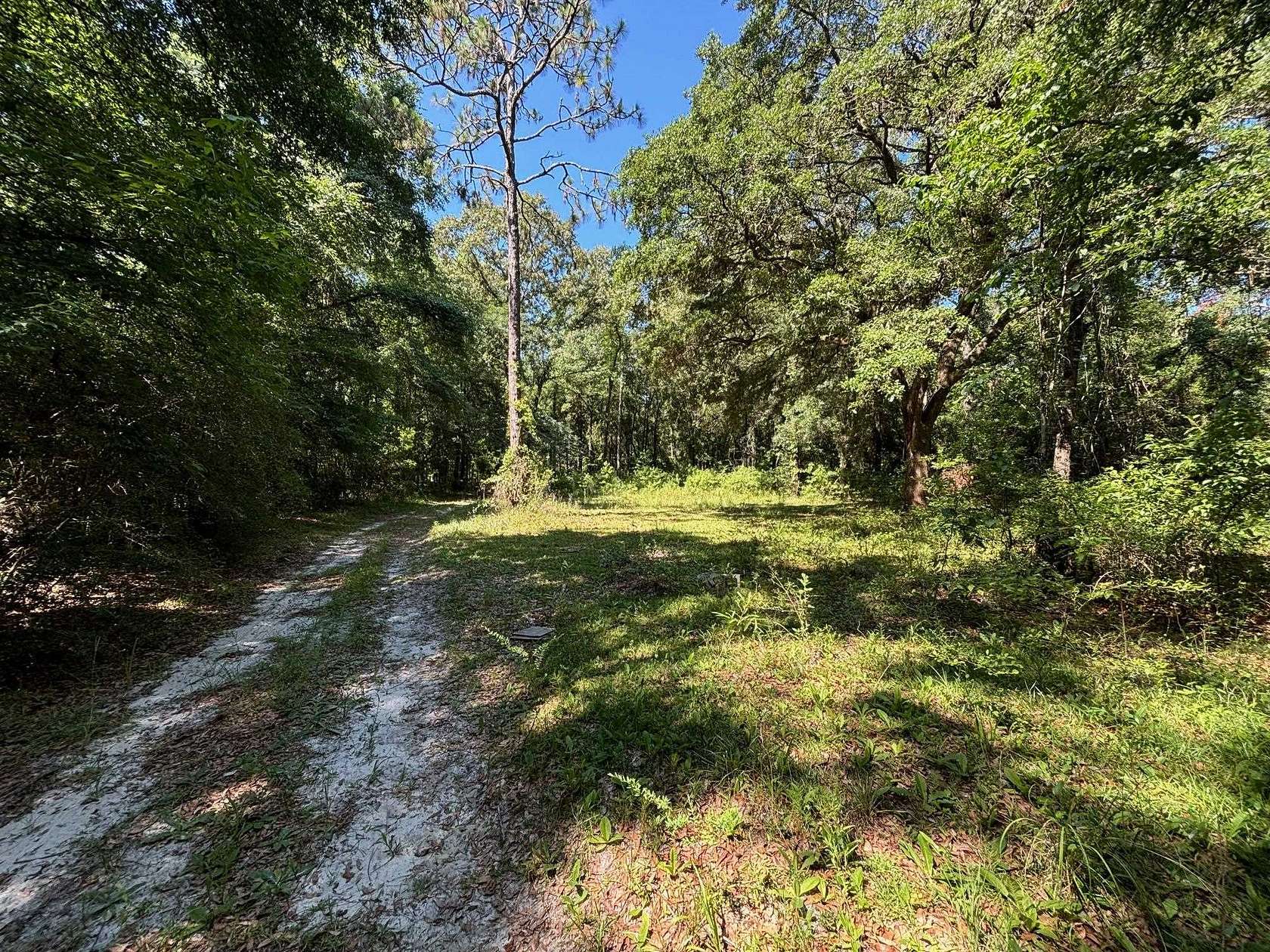 7.18 Acres of Land for Sale in Tallahassee, Florida