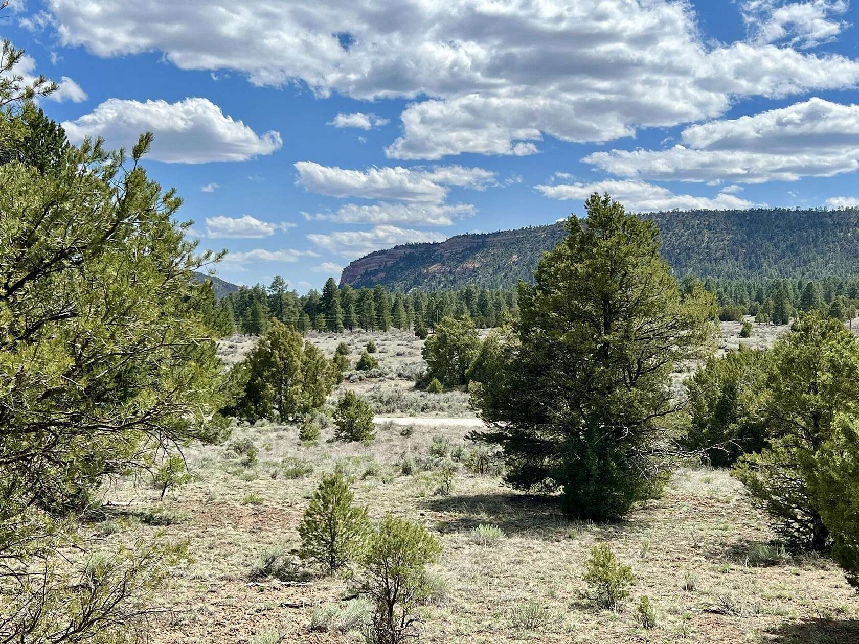 5.4 Acres of Land for Sale in Ramah, New Mexico