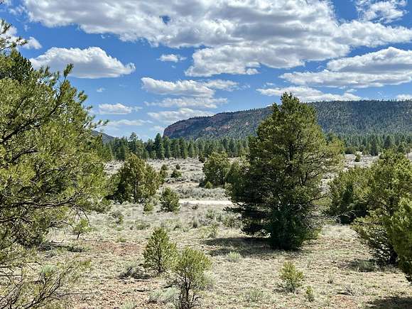 5.4 Acres of Recreational Land for Sale in Ramah, New Mexico