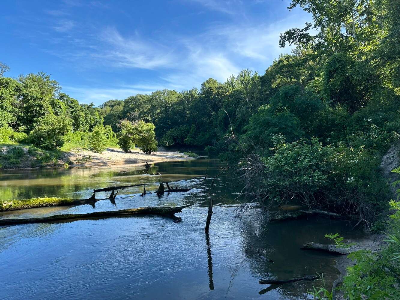 60 Acres of Land for Sale in Seminary, Mississippi