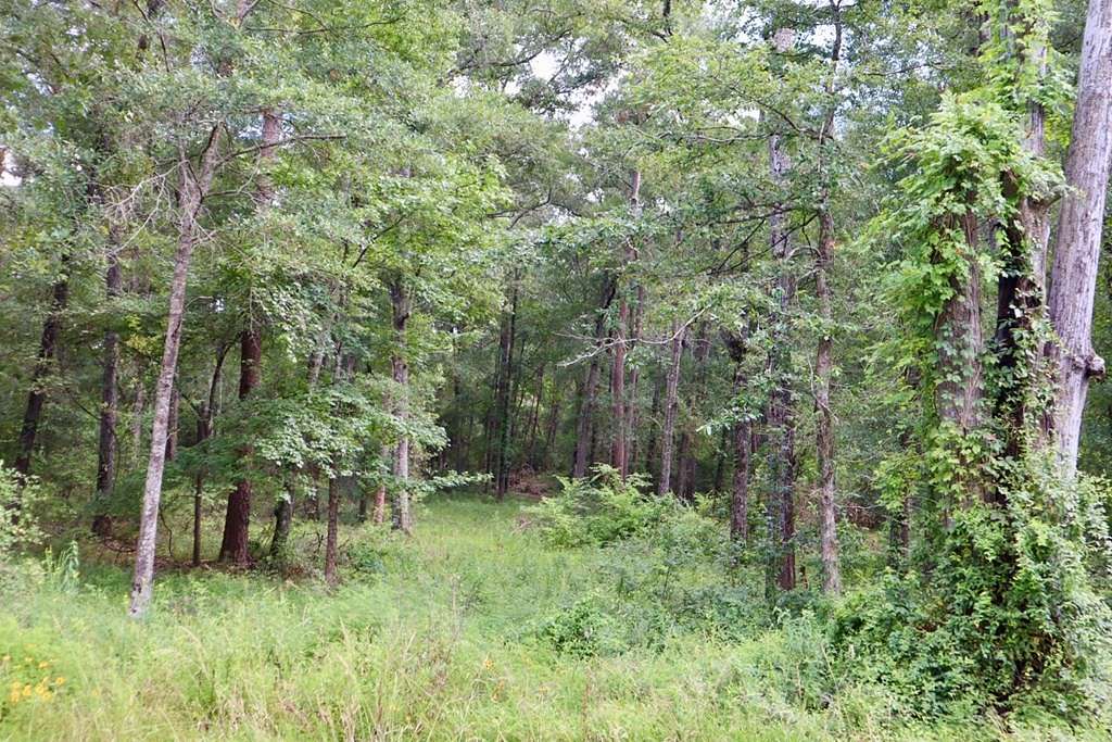 15.73 Acres of Land for Sale in Lufkin, Texas