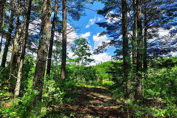 5 Acres of Land for Sale in Tomahawk, Wisconsin