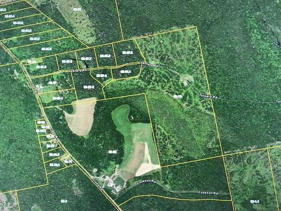 91 Acres of Land for Sale in Greenfield Township, Maine