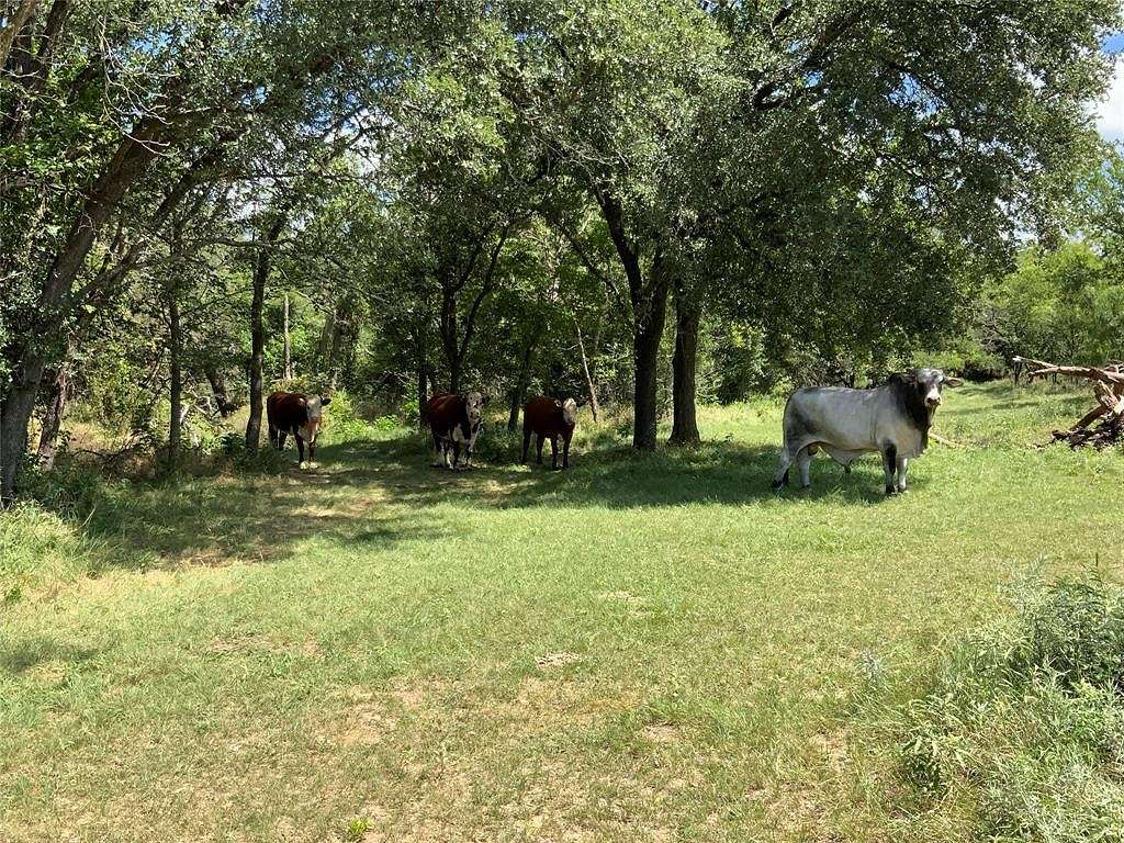 24.452 Acres of Agricultural Land for Sale in Blanket, Texas