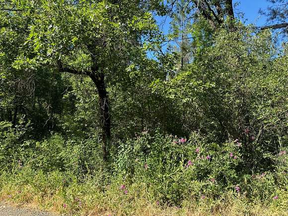 1 Acres of Residential Land for Sale in Lakehead, California