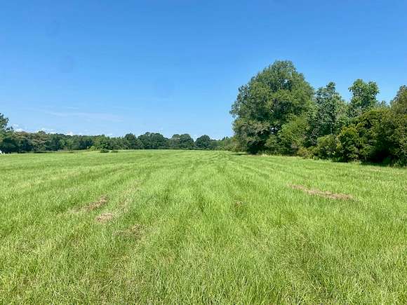 25 Acres of Recreational Land & Farm for Sale in Jayess, Mississippi