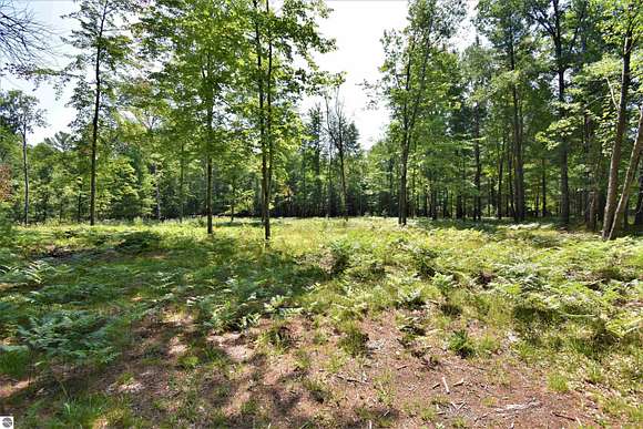 1.4 Acres of Land for Sale in Alger, Michigan