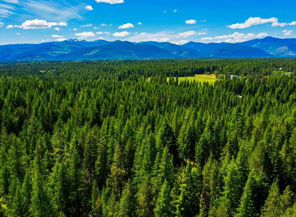 20 Acres of Recreational Land for Sale in Bonners Ferry, Idaho