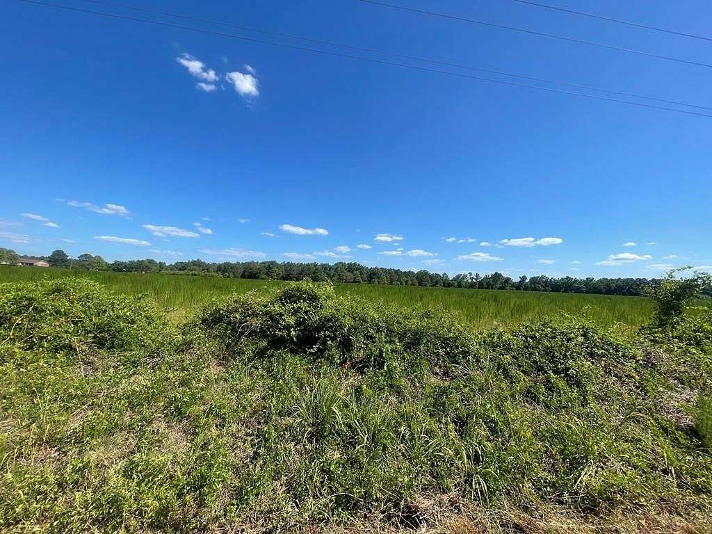 1 Acre of Land for Sale in Sumter, South Carolina